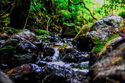 Water 3