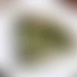 Tarte au thon et épinard