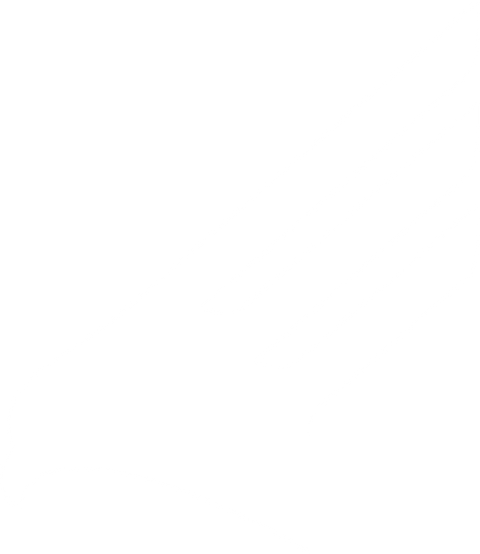 white-wingsAsset 26.png