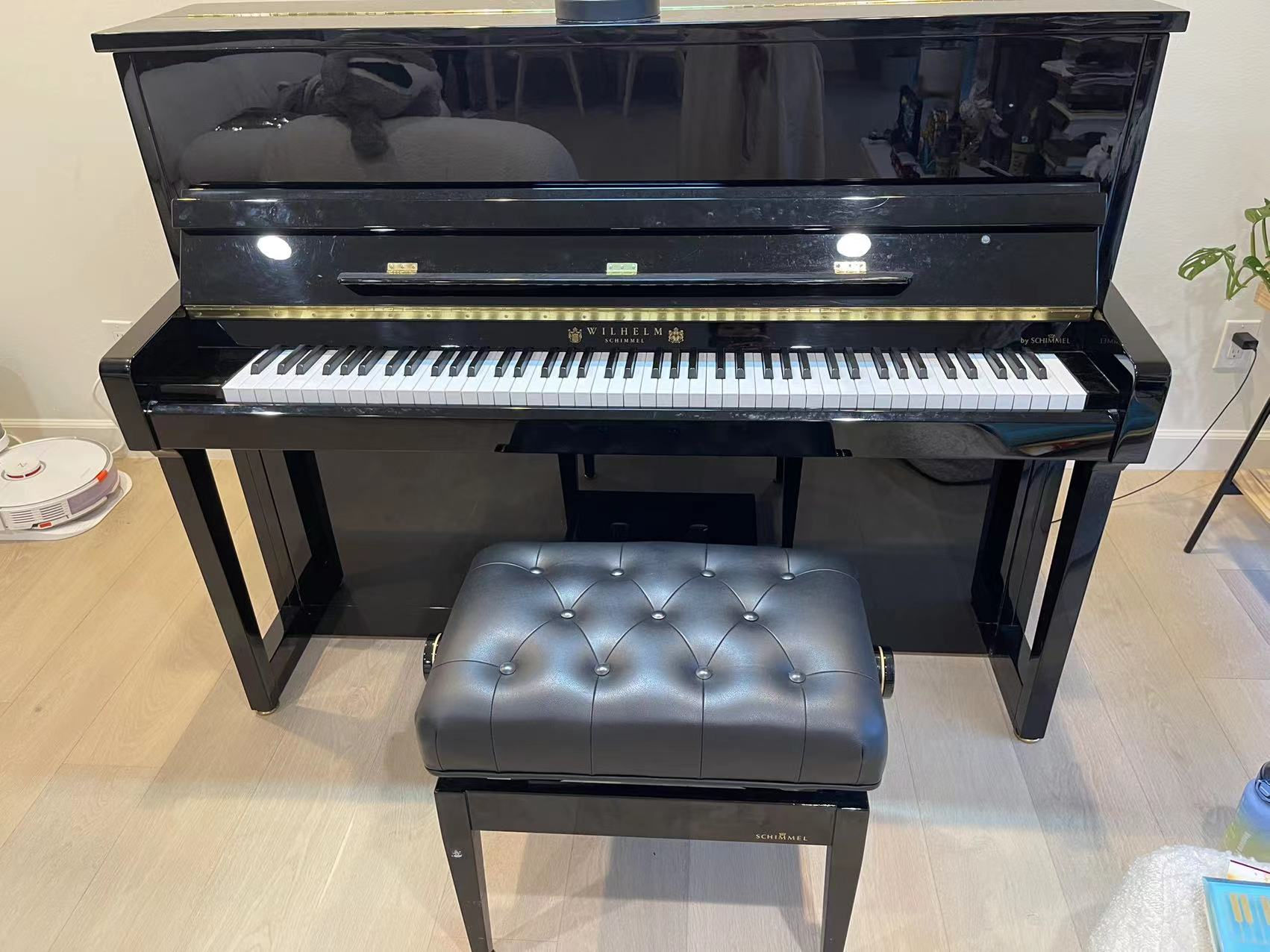 Wilhelm schimmel W118  2018