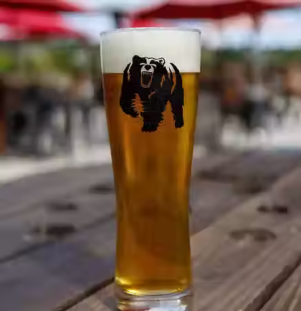 A pilsner glass with a golden liquid in it with a white foam at the top. The glass has a black grizzly bear imprint on it.