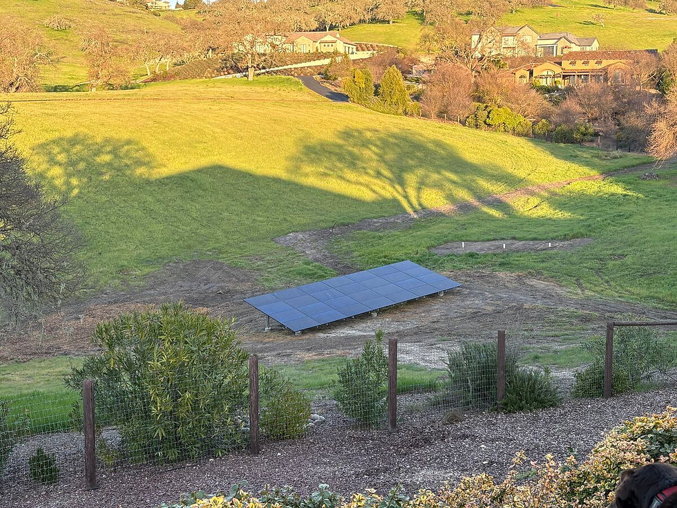Solar panels on a grassy hillside with trees and houses in the background. The sunlight casts long shadows over the vibrant green landscape.