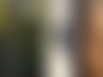 Why Elect Electric is Your Go-To Ring Pro Installer in San Luis Obispo County and Santa Maria