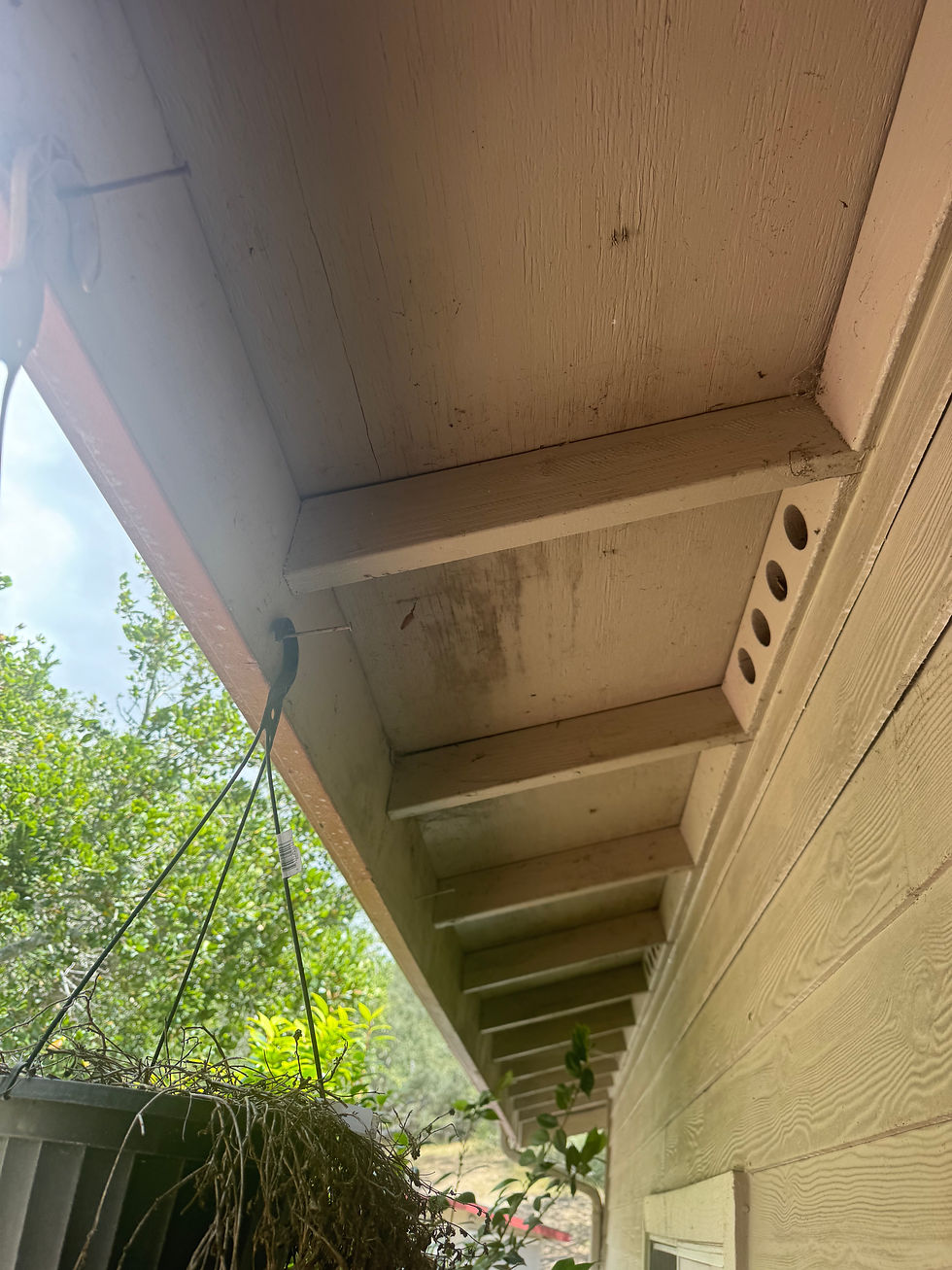 Underside of a house eave with stained wood and exposed beams, beside a hanging planter and sunlit green trees outdoors