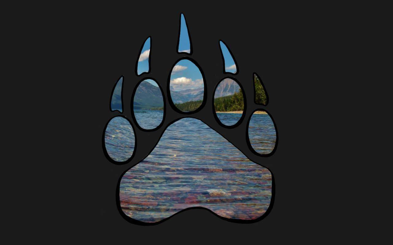 www.bearmountaintradingco.com