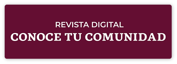 Revista button.png