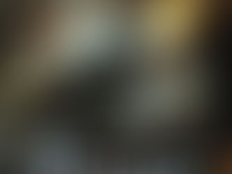 Don't say "Bronsonploitation!"