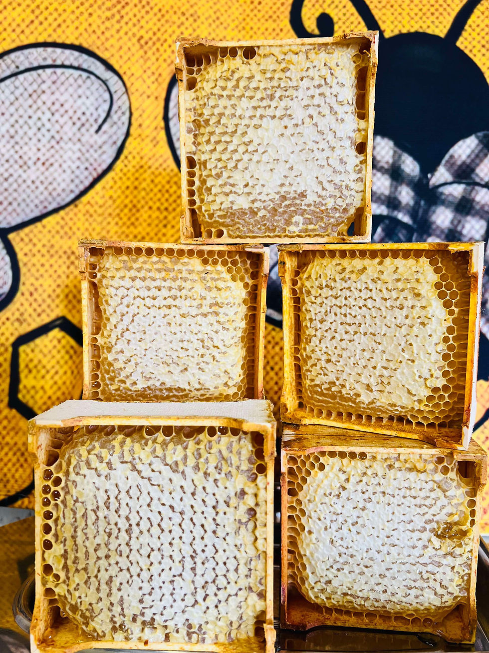 Thumbnail: Honeycomb Section Frames