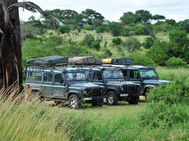 After the Safari: How Foley’s East Africa Keeps Black Leopard 4x4 Hire on the Road