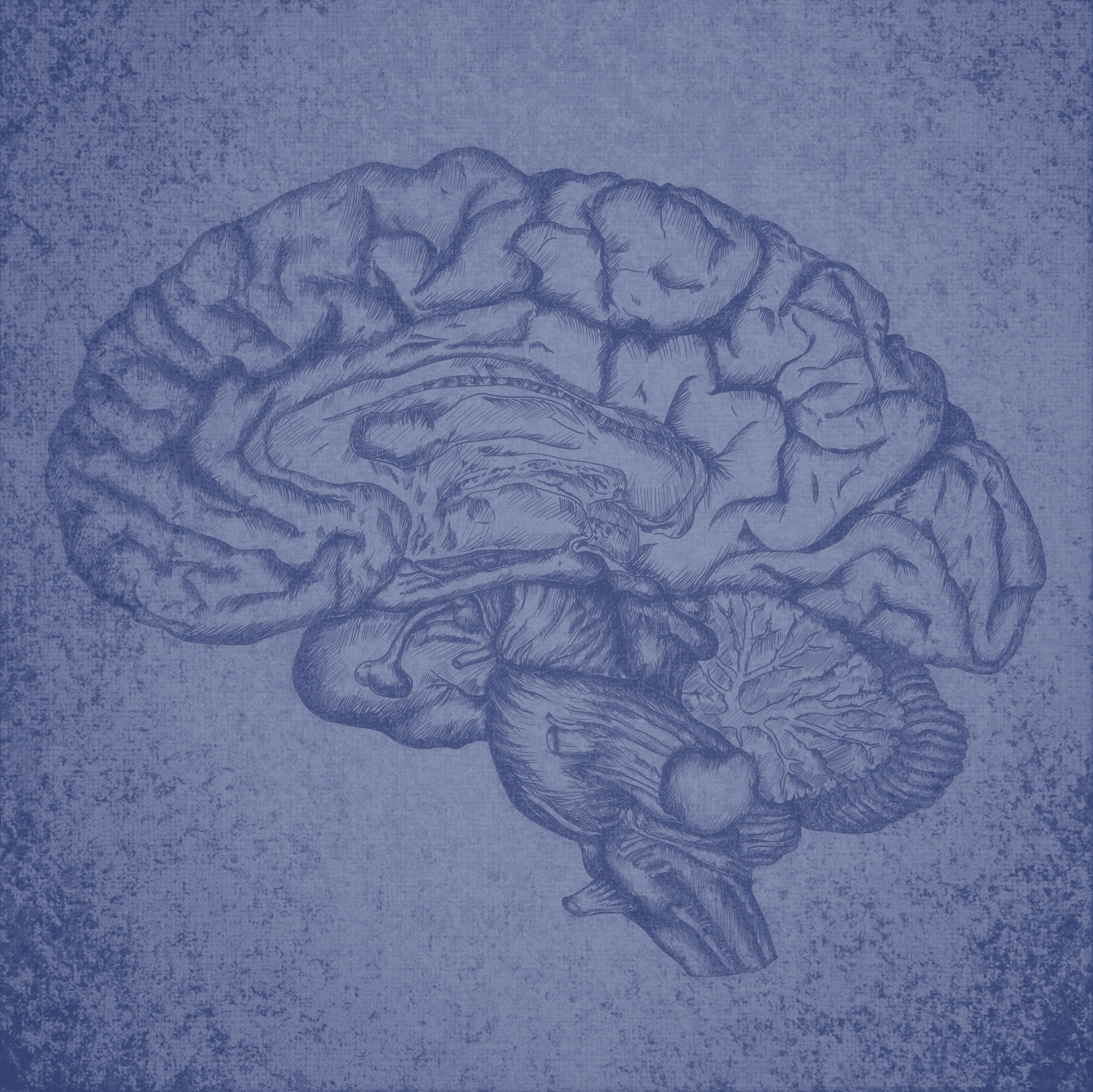 Telekinetic(Hip Hop) - Premiere