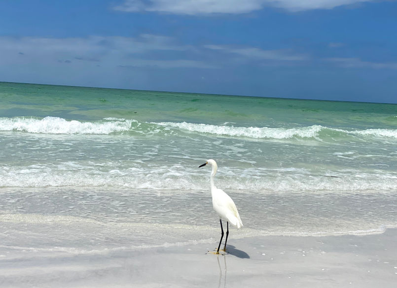 Siesta Key Beach