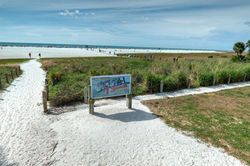 Siesta Key Beach - Siesta Key Dream Inn