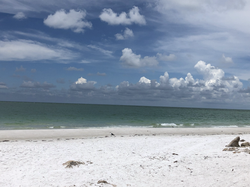 Siesta Key Beach - Siesta Key Dream Inn