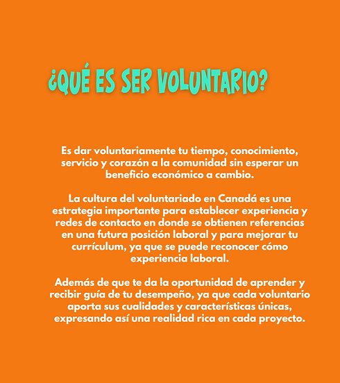 11Pagina web voluntarios.png