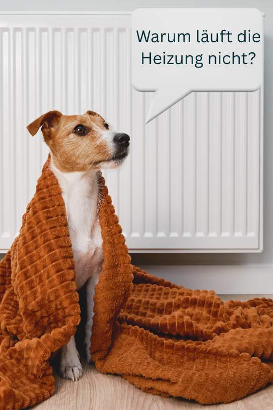 Auch Ihr Vierbeiner muss nicht frieren. Wir lösen Ihr Heizungsproblem.