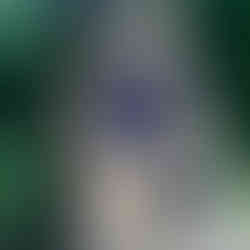 Denkmal in Düsseldorf von Graffiti befreit