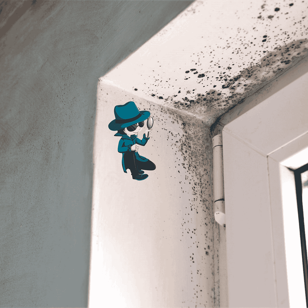 Das Symbol ist ein mit Liebe designter Schimmelscout, der überall beim Sachverständigenbür