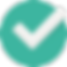 Checked Icon