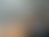 Dealership manager viewing website in showroom office