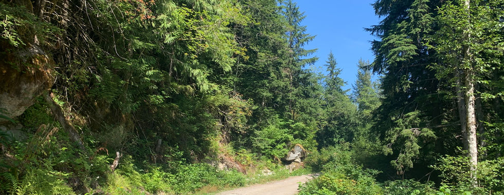 Road conditions at the start of Silver Peak - Silver Skagit road overland route.