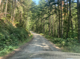 Road conditions for first portion of Upper Bridal Falls overland route.