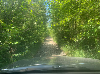 View of narrowing road enroute to Upper Bridal Falls overland.