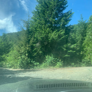 Intersection enroute to Upper Bridal Falls.