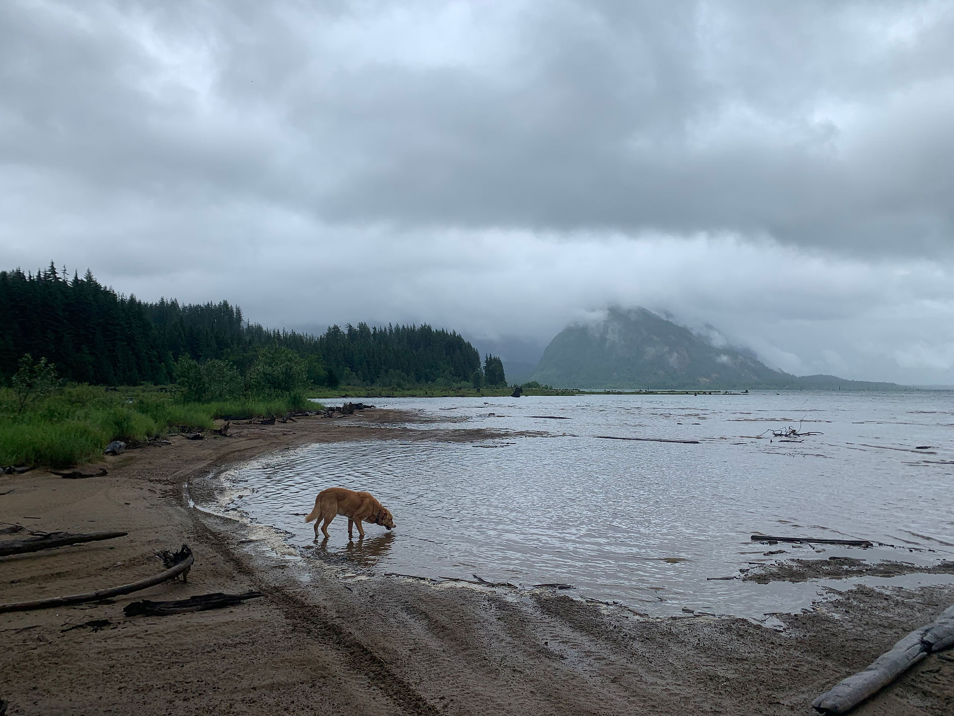 View from Third Beach at Rocky Point - Florence Lake FSR.