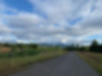 Peachland to Merritt Overland route view of grasslands, gravel road and pine trees.