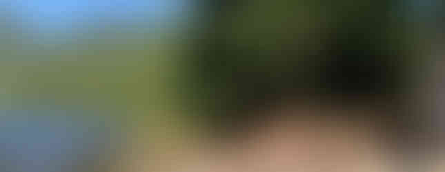 View of Kenyon Lake rec site and potential tent camping spot.