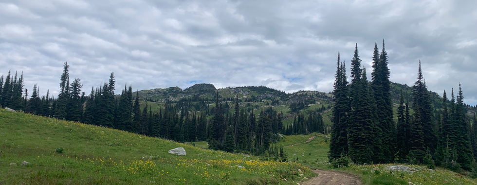 more meadows on Mara Mountain - Mara Lookout FSR overland route