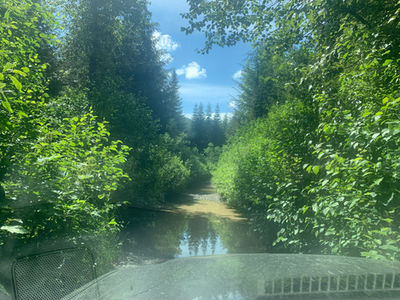 Small water crossing on route to Upper Bridal Falls.