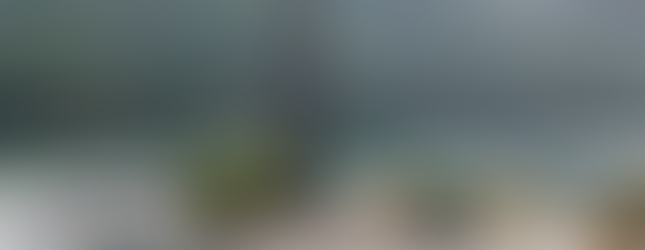 Beautiful shore camping on Chehalis Lake