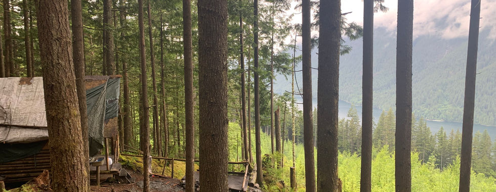 Hidden cabin view over Alouette Lake - Florence Lake FSR.