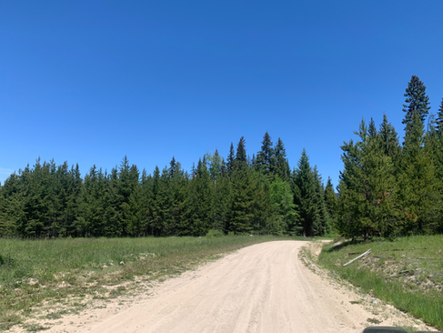 View of road conditions at the start of the Agate Mountain - Willis Creek FSR overland route.