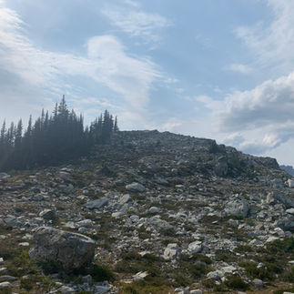 Trail condition leaving second cabin on Sugarloaf Mountain hike.