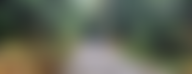 Entry road conditions for skwellepil Creek Rec Site