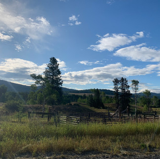 Historic ranch fencing on Peachland to Merritt Overland route.