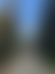 Final approach on Cabin Lake - Prospect Creek FSR overland route