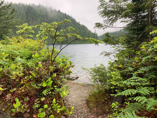 Morgan Lake campsite access to lakeshore. From Florence Lake FSR.
