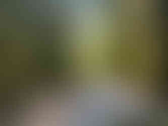 Initial road conditions on Squamish to Indian Arm overland route