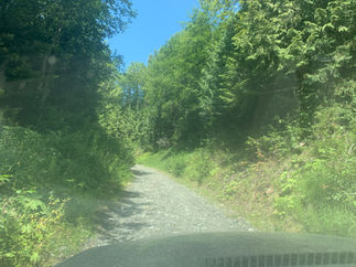 Road conditions immediately after turning left onto Chipmunk FSR.