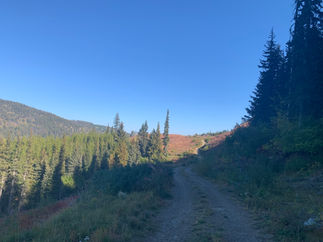 Beginning to climb in elevation on Murphy Lakes and Grasshopper ridge overland route