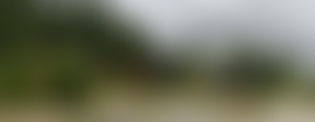 Wide open camping space on Skwellepil Creek Rec Site – Chehalis FSR overland route