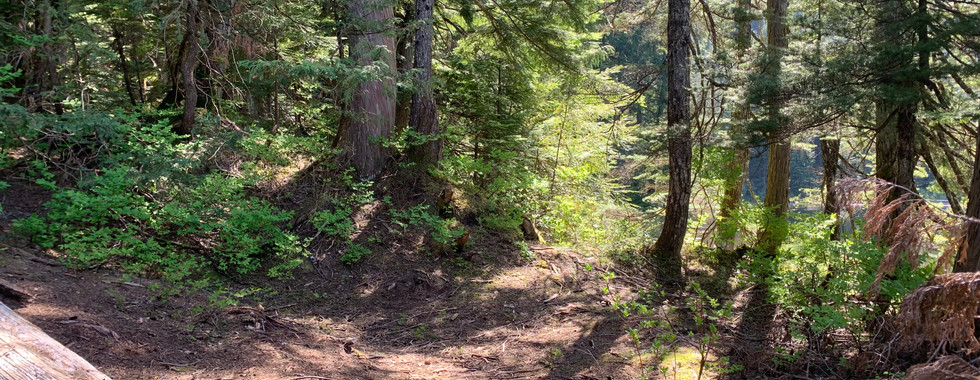 Kenyon Lake rec site potential tent spot.