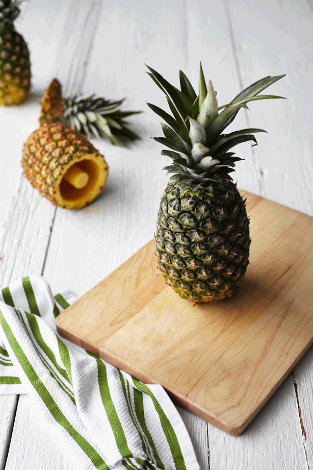 Victoria TORI Meyer Food & Prop Stylist