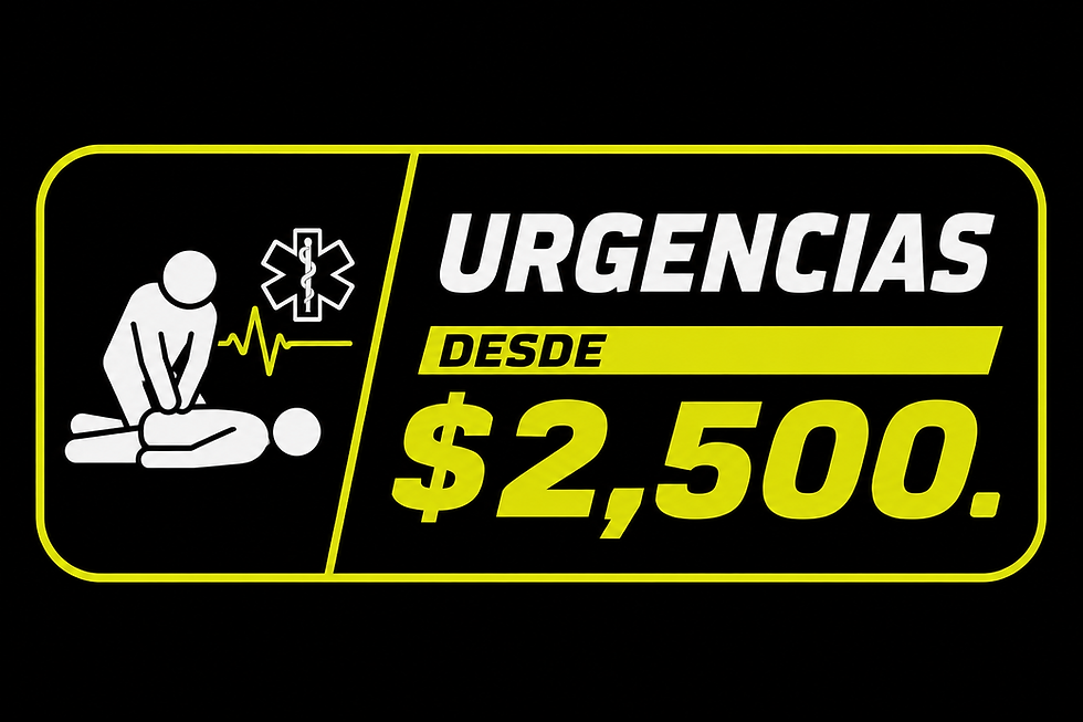 4D4D2EA3-441C-4732-9B5D-E50E71DF8634.PNG
