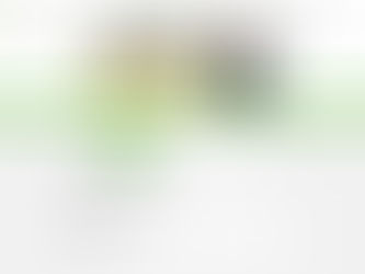 タネックス(TANEX)の評判は?10代20代の未経験向け転職が最短1週間で成功する理由