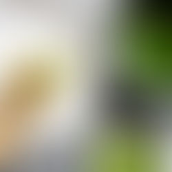 L-Theanine: The Amino Acid for Overall Wellness