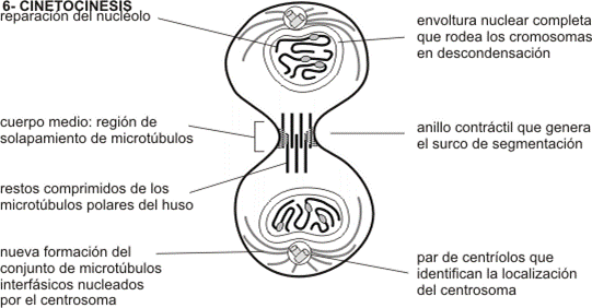 Imagen5.gif